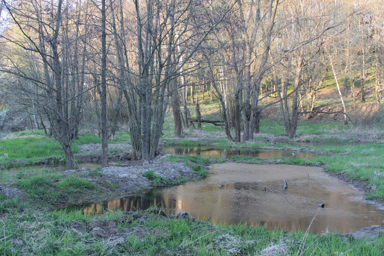 Moje mise pro ochranu přírody