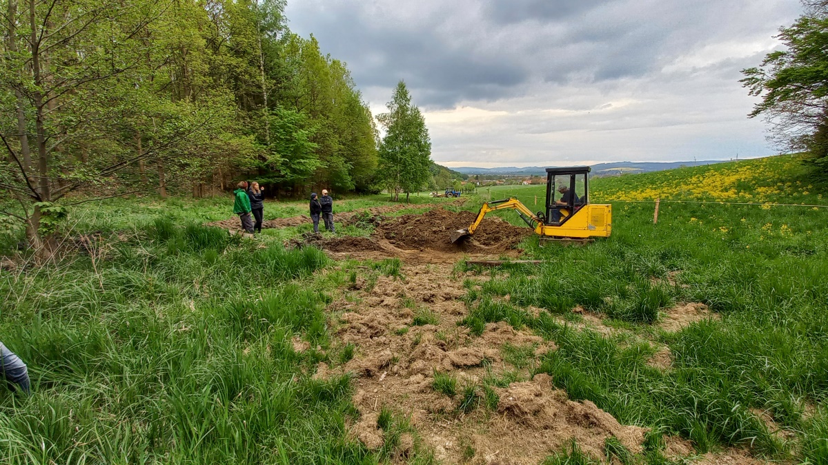 Obnovená tůň v krajině