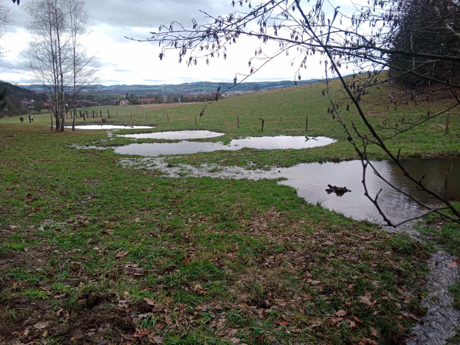 Obnova tůní a mokřadů - revitalizace krajinných prvků