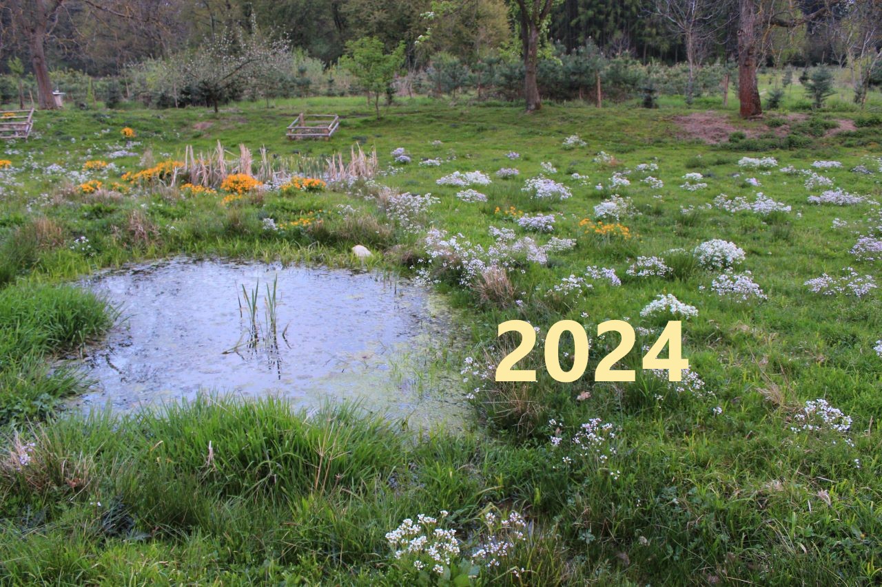 Tůně a mokřady - aktivita v roce 2024